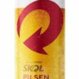 Cerveja Skol Pilsen Lata 473 Ml