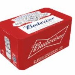 PACK CERVEJA BUDWEISER LATA 310ML C/15