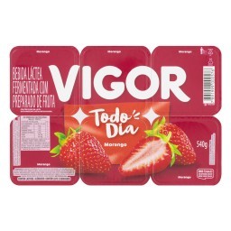 Bebida Láctea Vigor Polpa Morango Todo Dia 540g