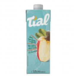 Suco Nectar Tial 1l Caju