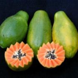 Mamão papaya un