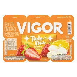 Bebida Láctea Fermentada Vitamina De Frutas VIGOR Todo Dia Com 6 Unidades 540g