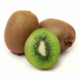 KIWI KG