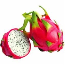 PITAYA KG